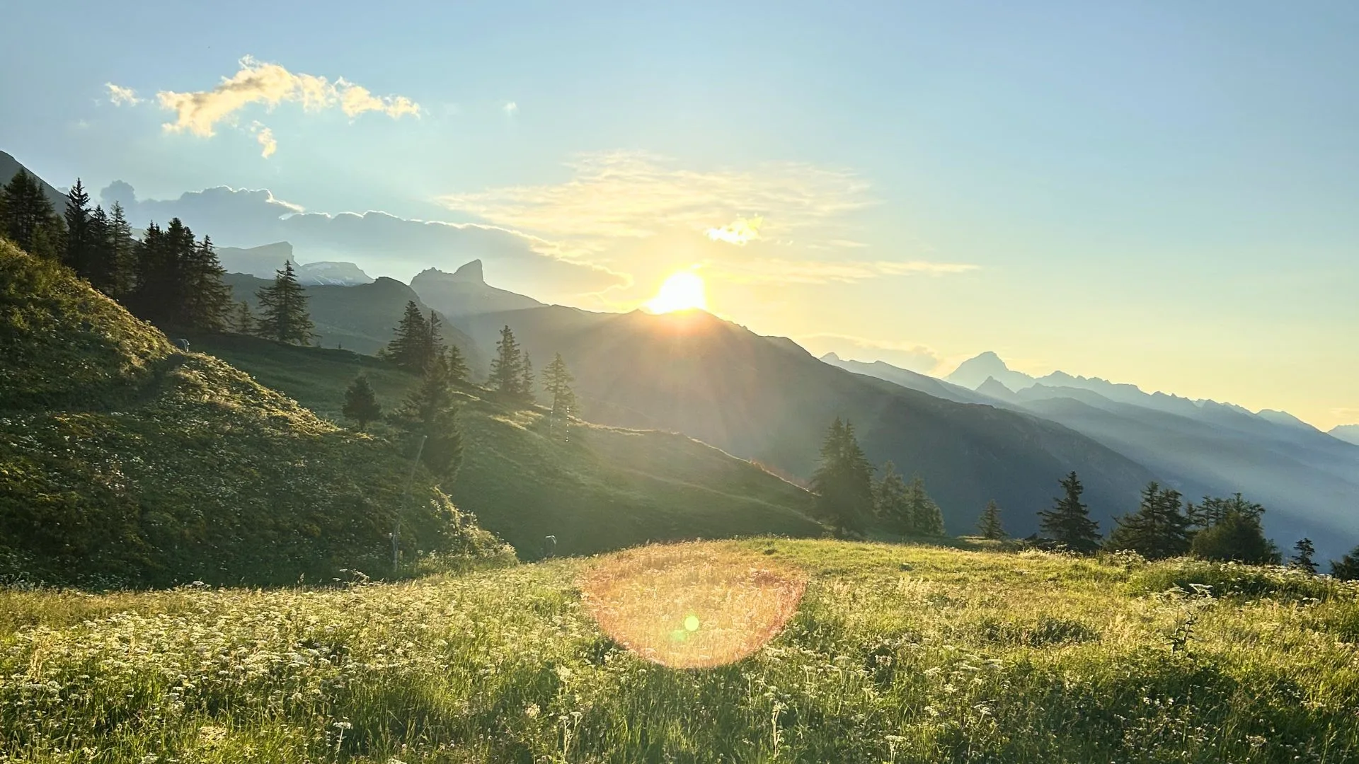 Crans Ambassador — photo 43