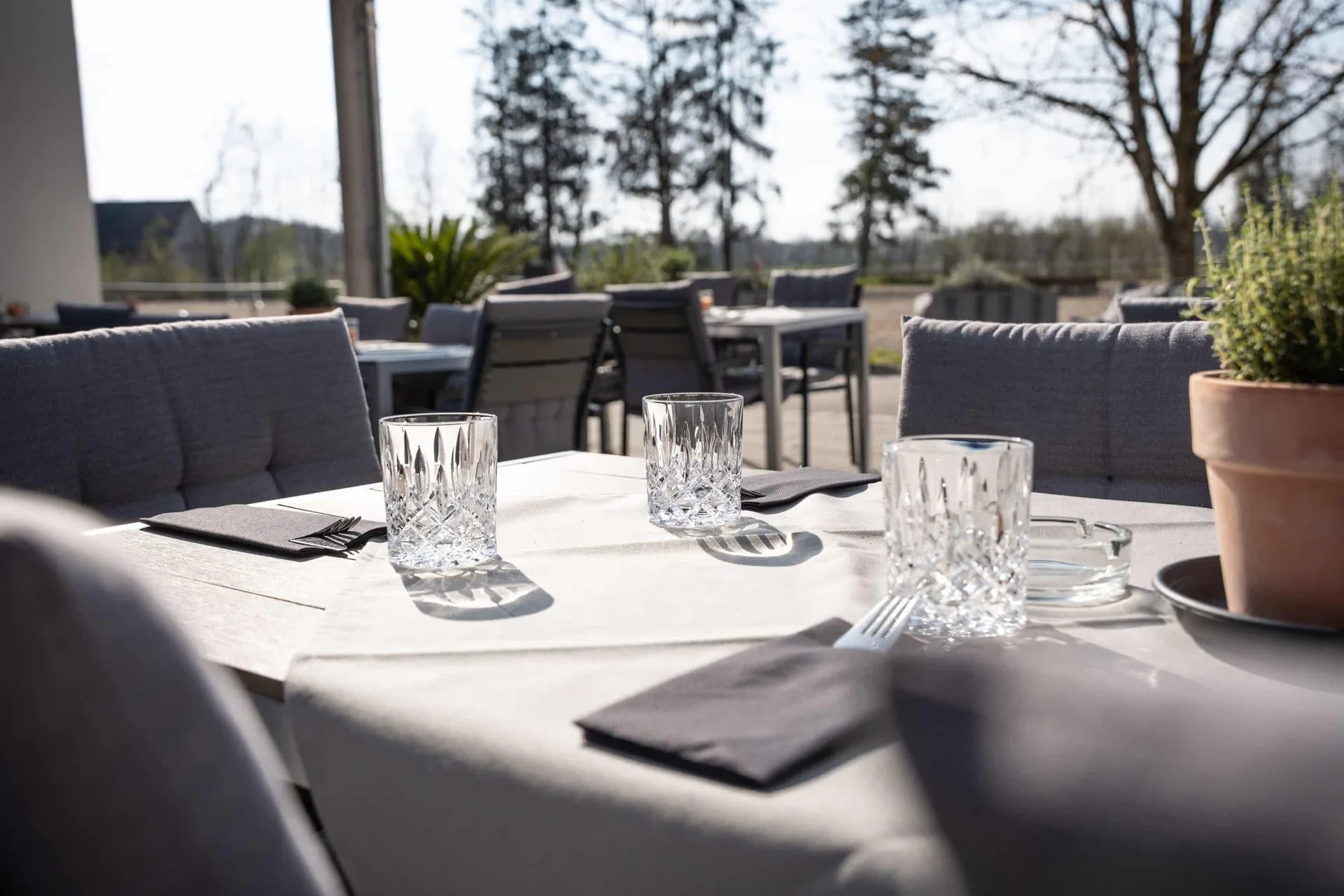 Restaurant Reitpark Mergenthau — photo 19