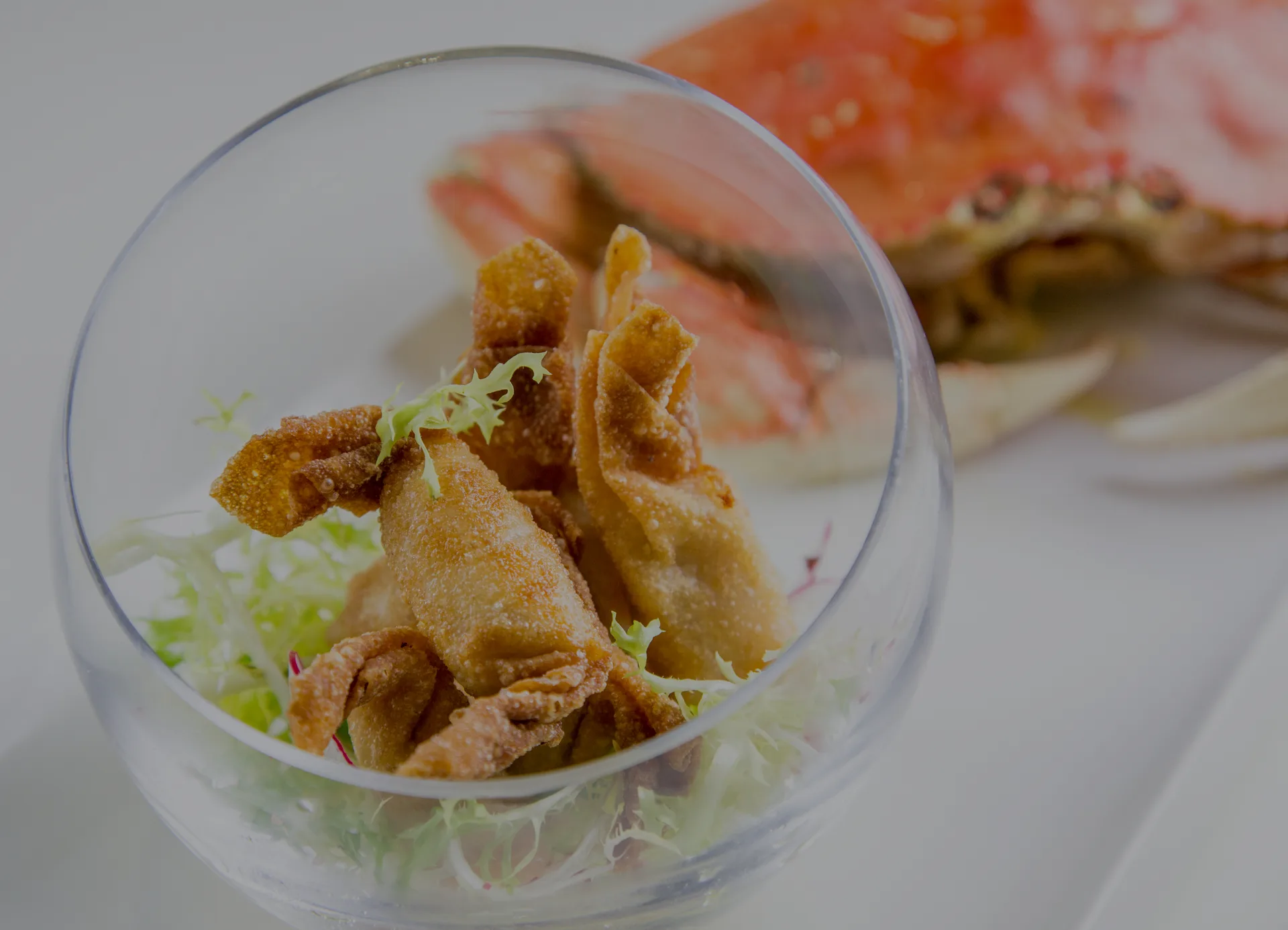 Crustacean — photo 17