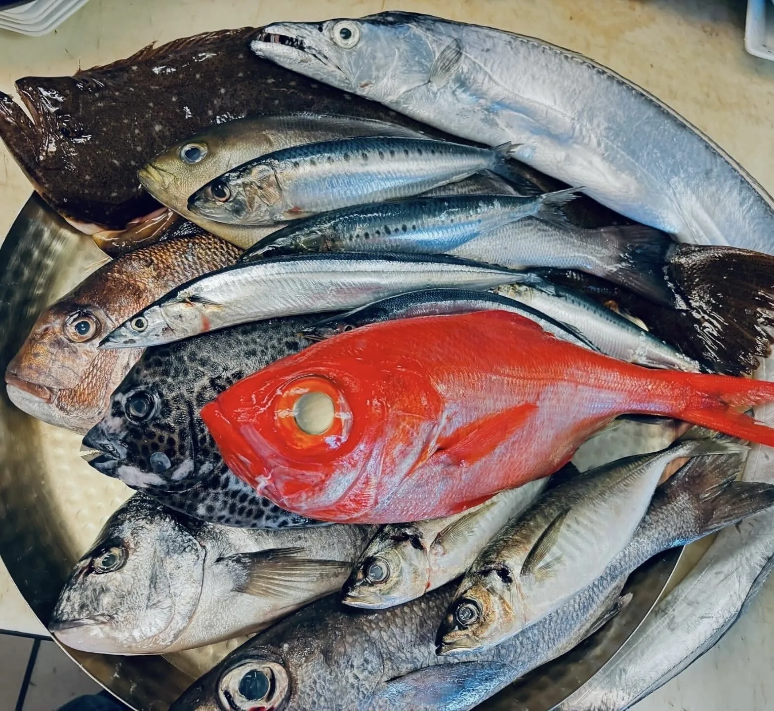Koi Japanese Cuisine — photo 60
