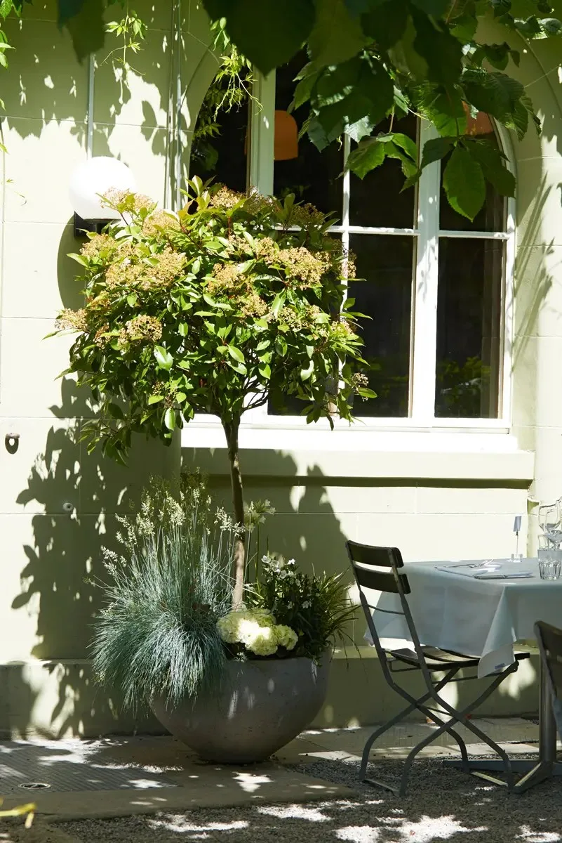 Brasserie Obstberg — photo 26