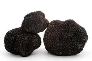 Ristorante il Tartufo — food