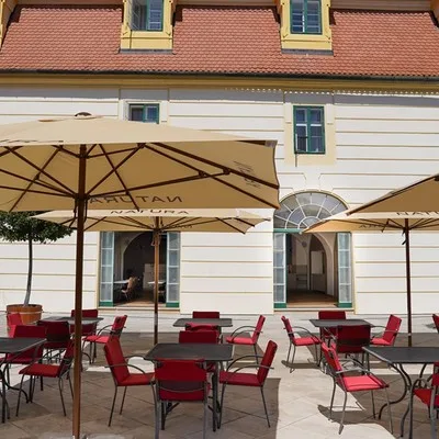 Restaurace Zlatá terasa — photo 40