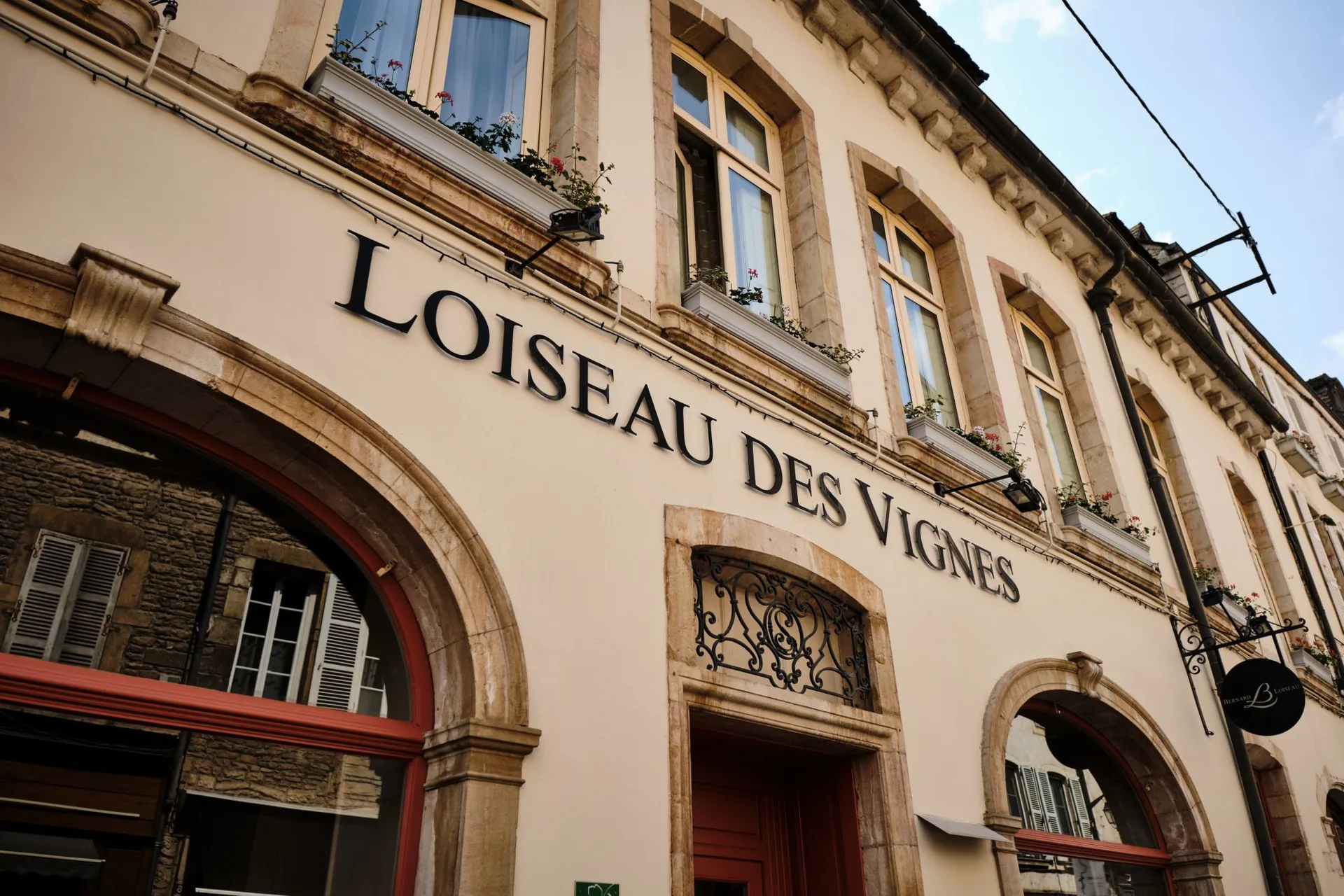 Loiseau des Vignes — photo 17