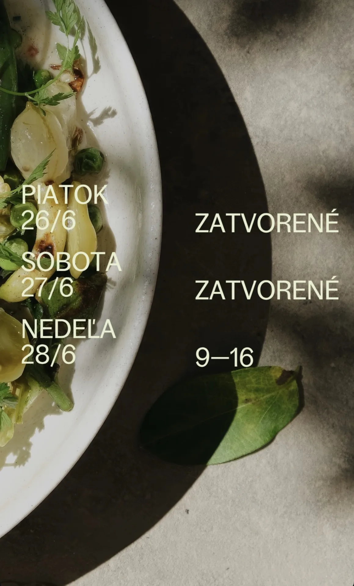 Reštaurácia ZWICKER — photo 13