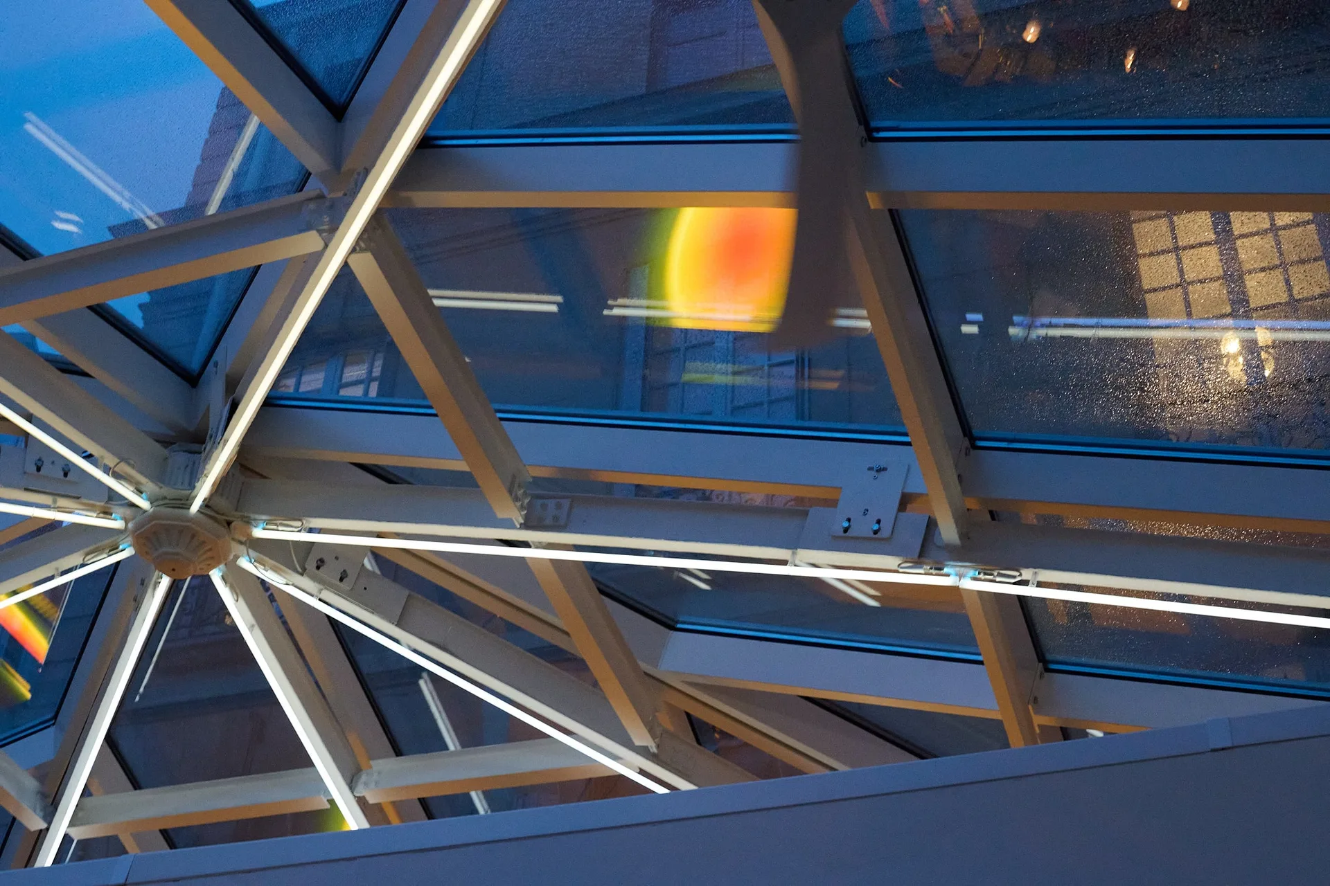 Halo Paris — photo 5