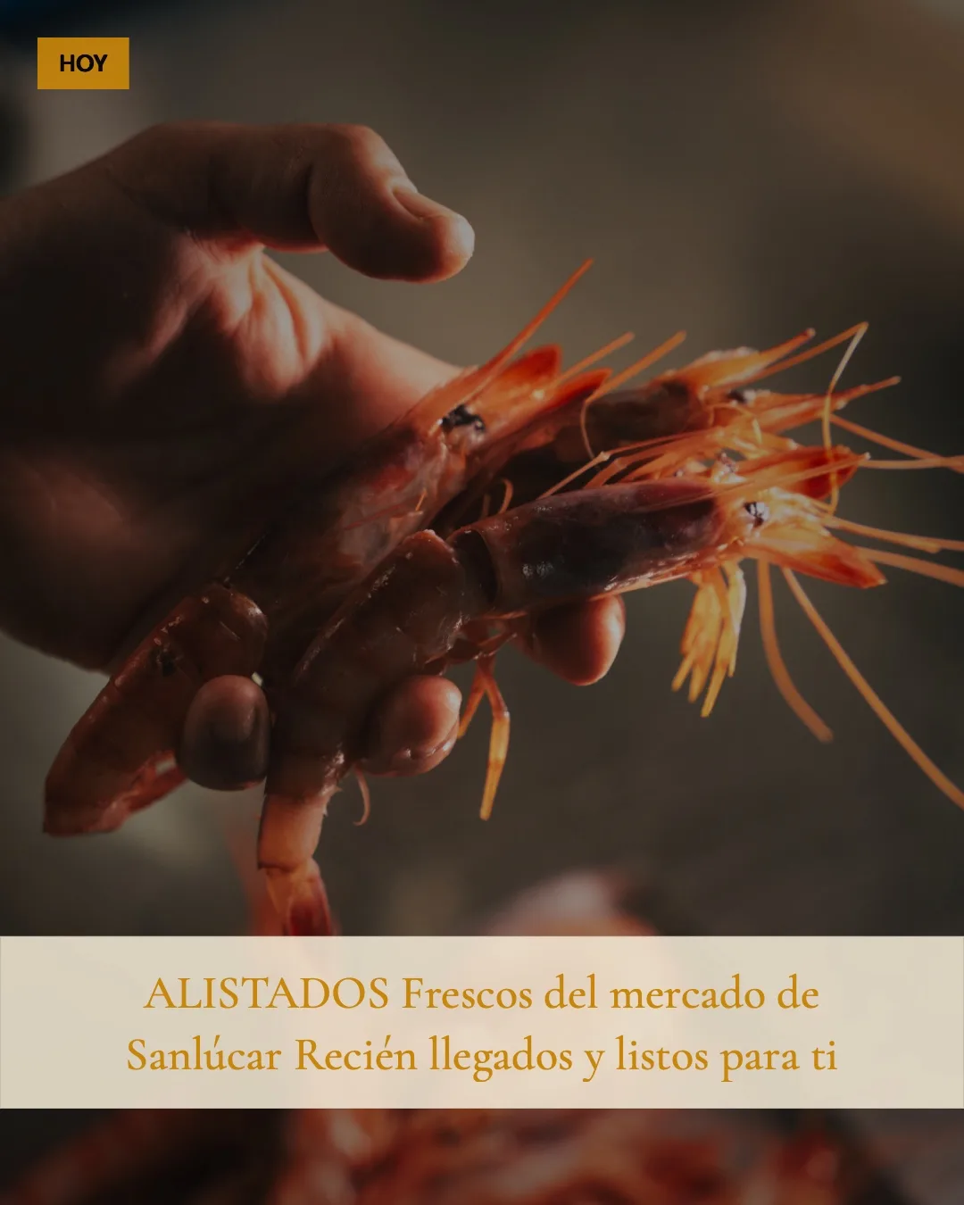 El Espejo - Sanlúcar — food