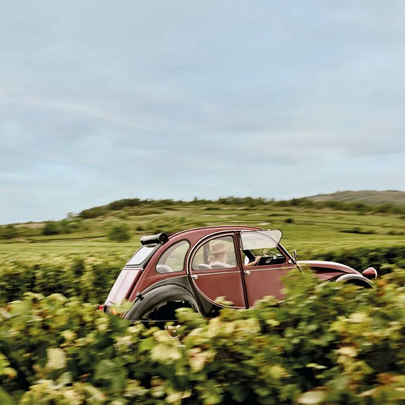 Le Montrachet — photo 48