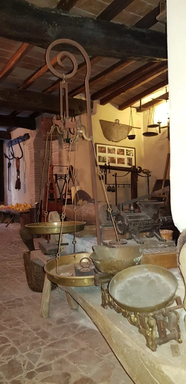 Tenuta del Gallo — photo 66