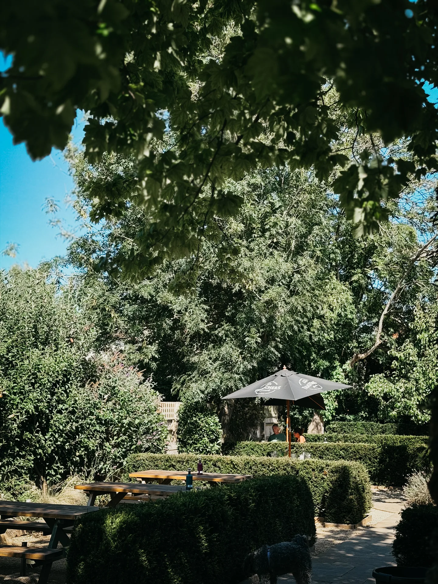 The Queens Chew Magna — photo 40