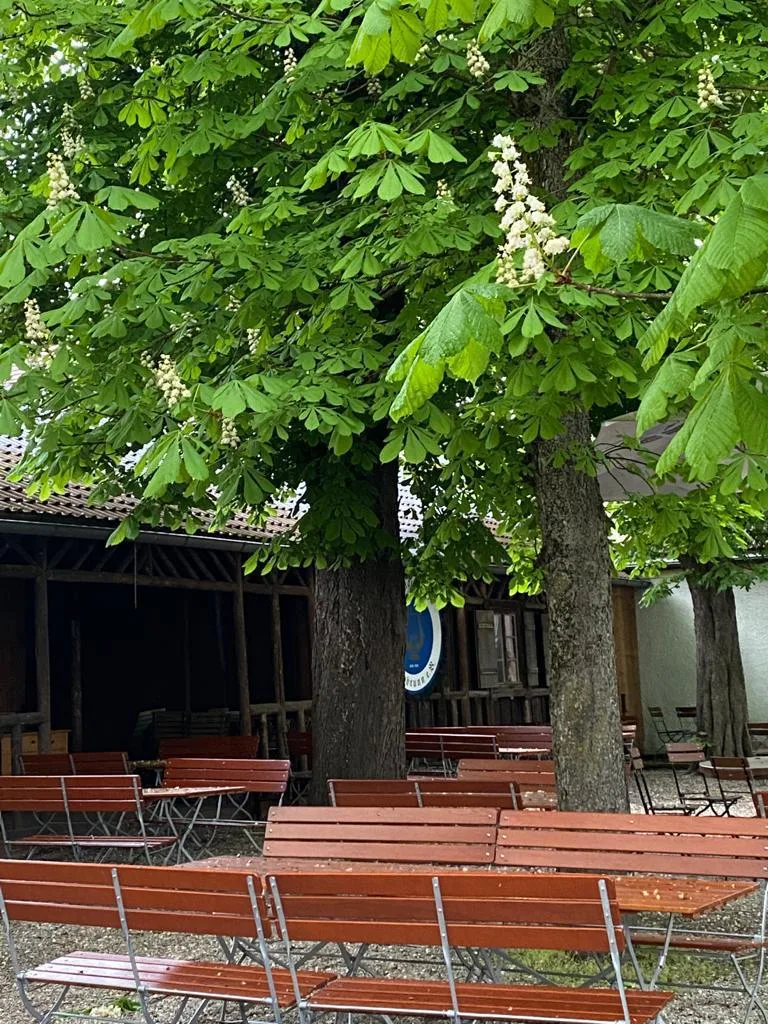 Gasthof Alter Wirt — photo 71