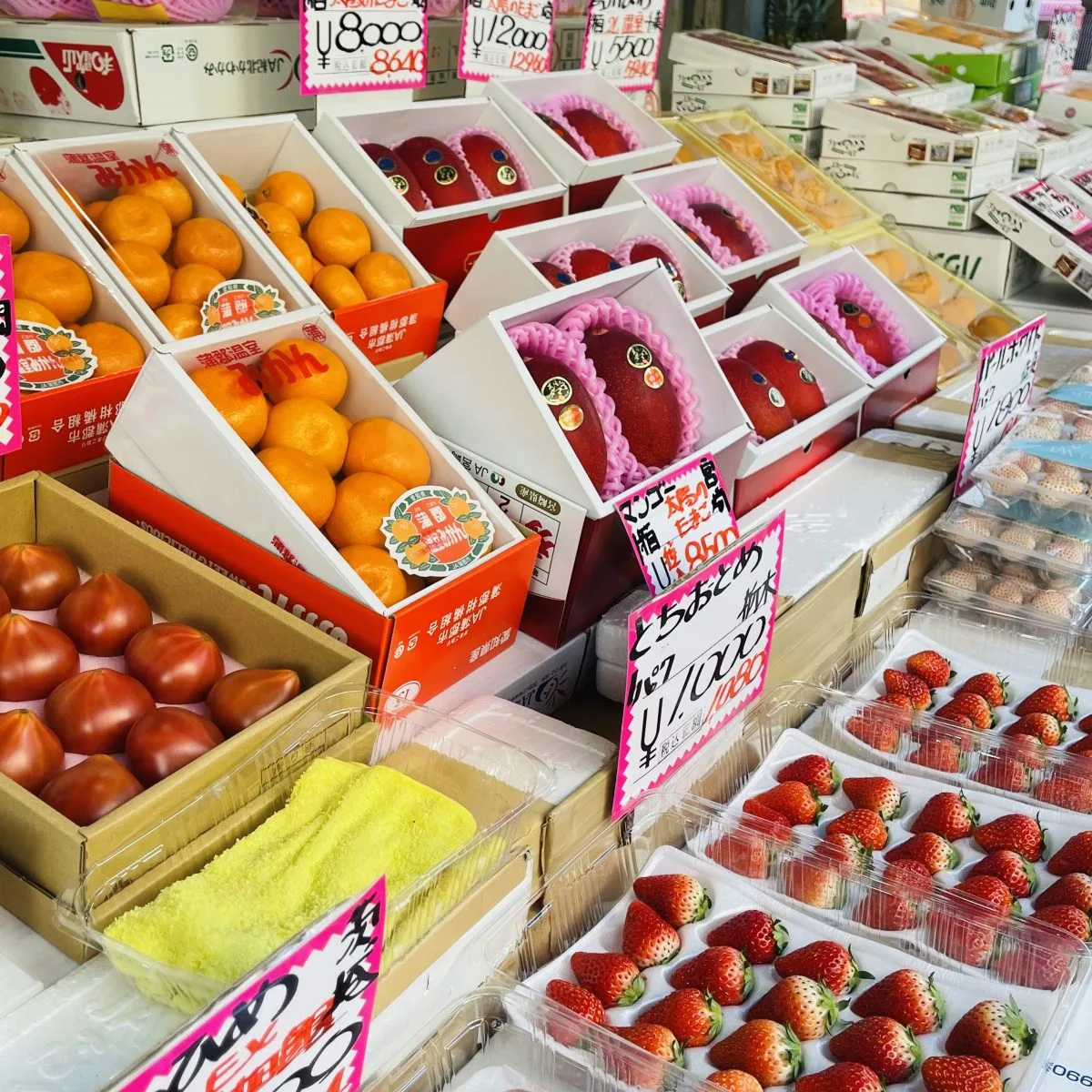 Matsunozushi — photo 92
