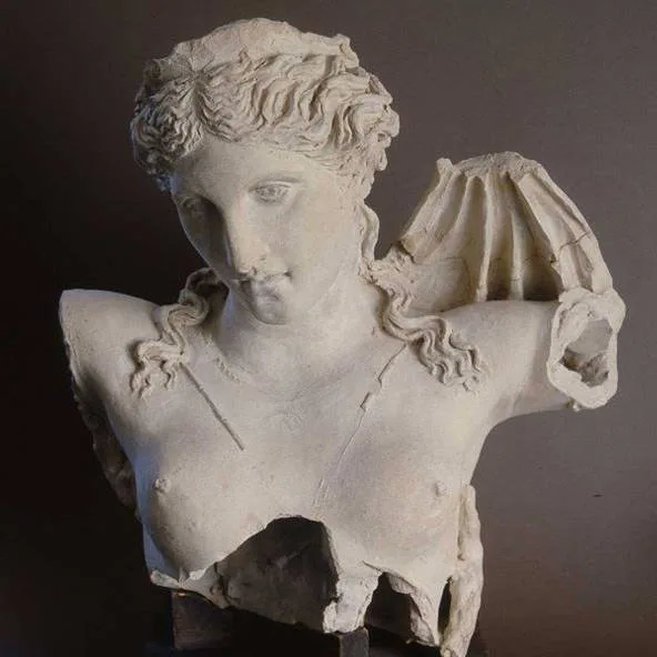 Coquus, Lucera