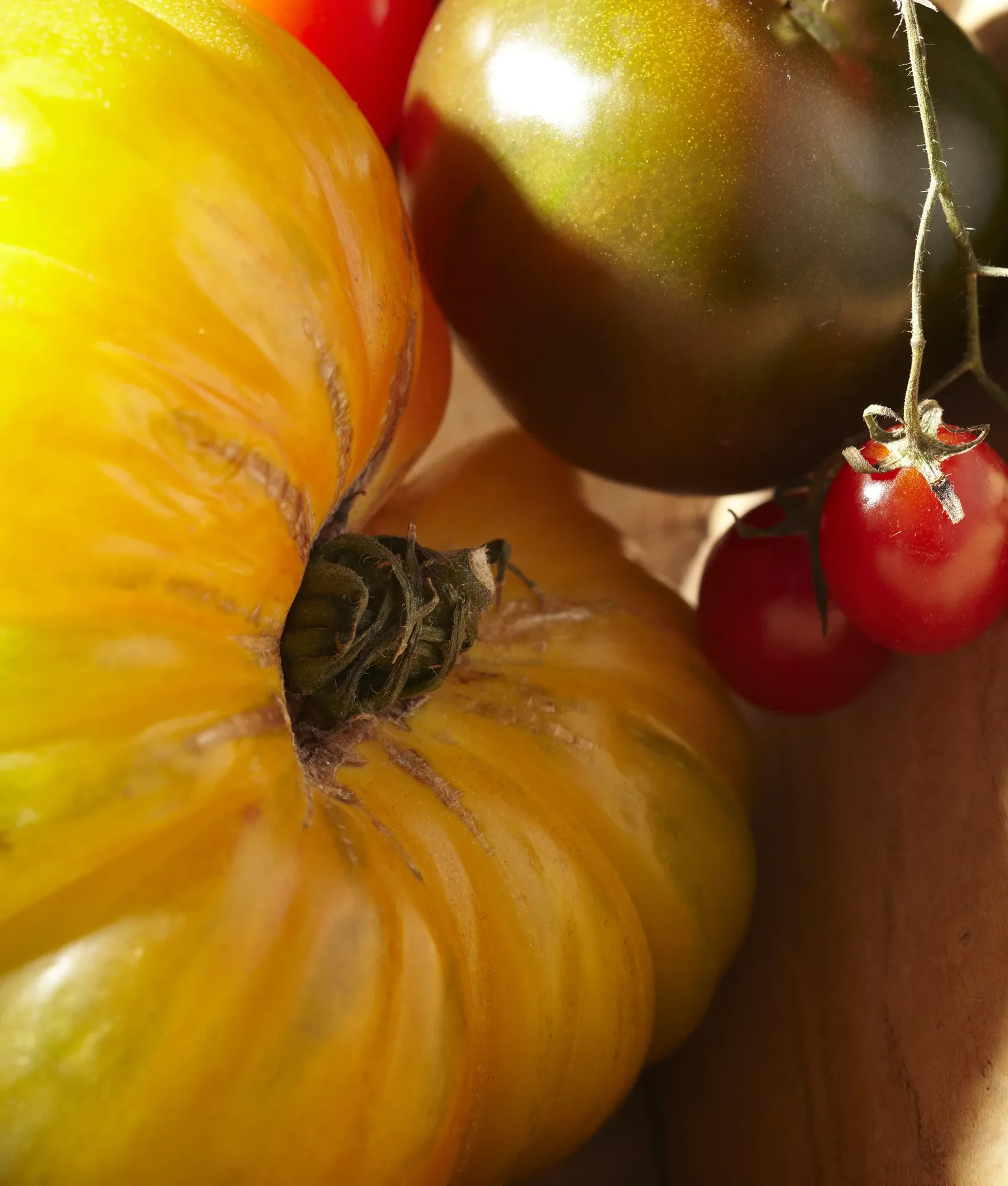 Via Carota — photo 30