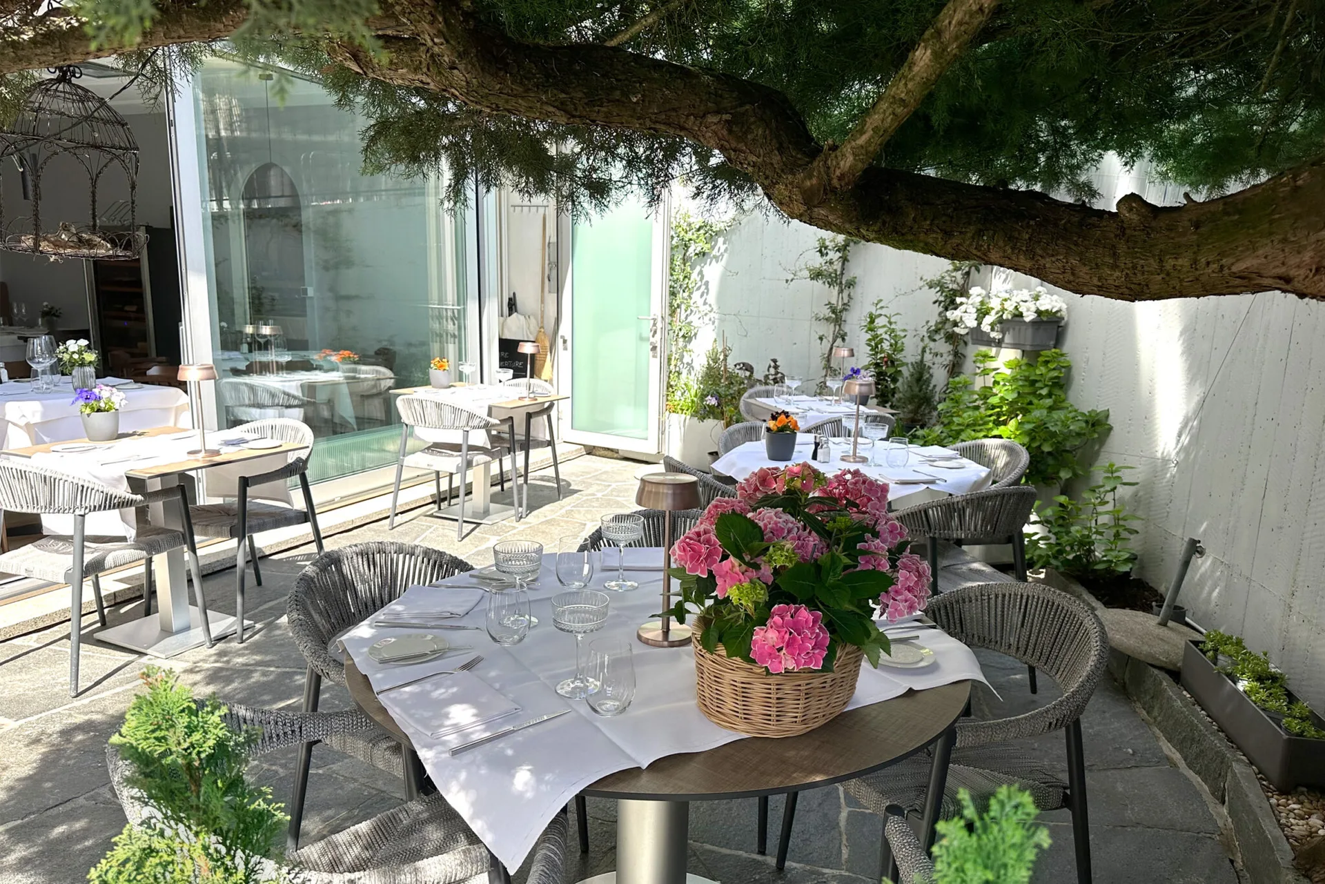Le Rossignol — photo 13