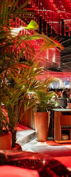 Tuya Milano — photo 6