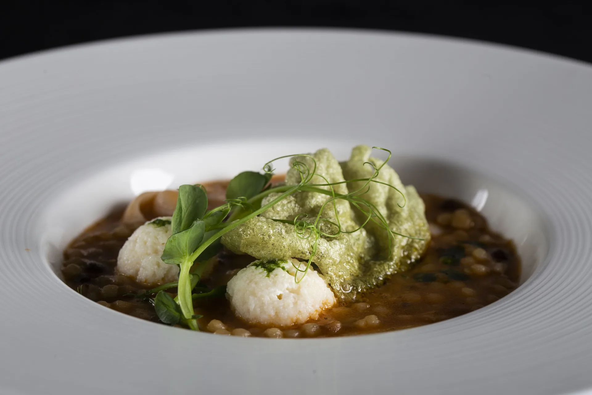 Lorenzo — photo 11