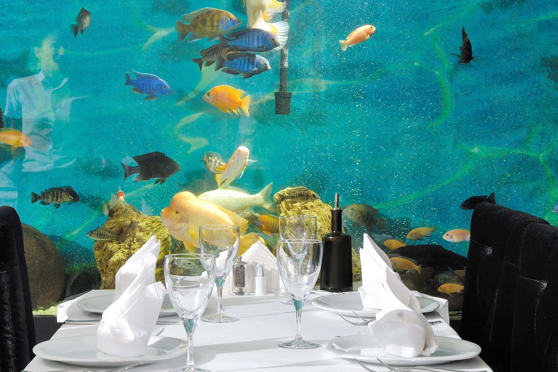 Birinci Kordon Balık Restoran — photo 35