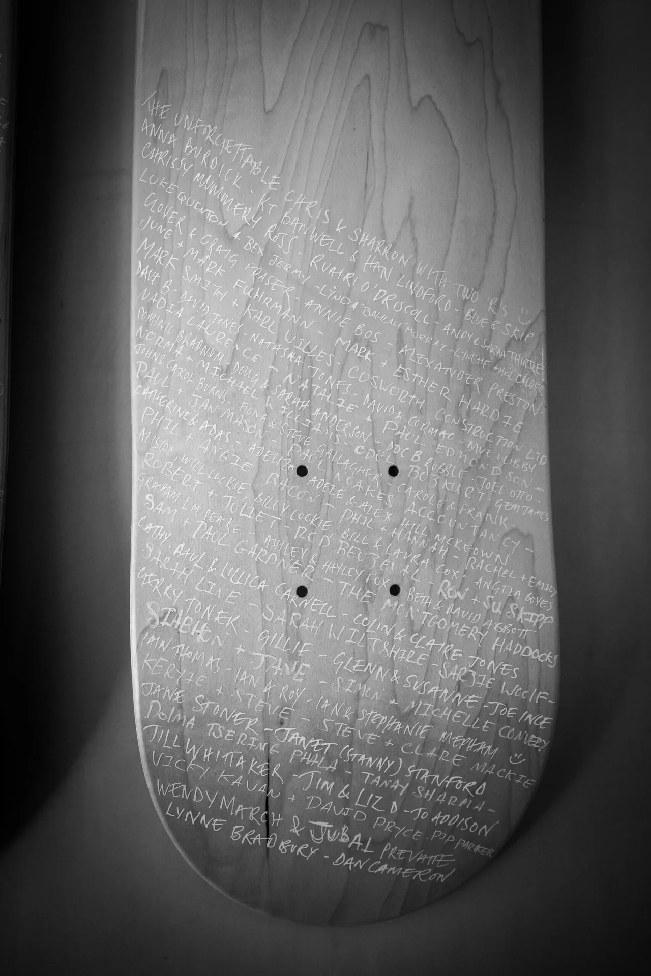 Tern — photo 59