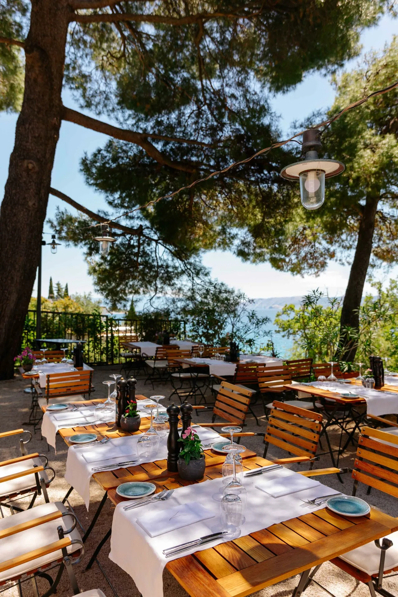 Restaurant Dida — photo 47
