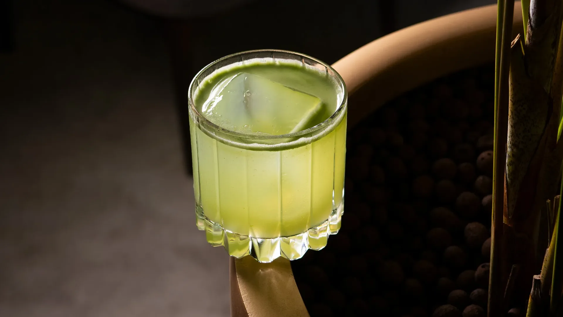 L'Attitude — drink