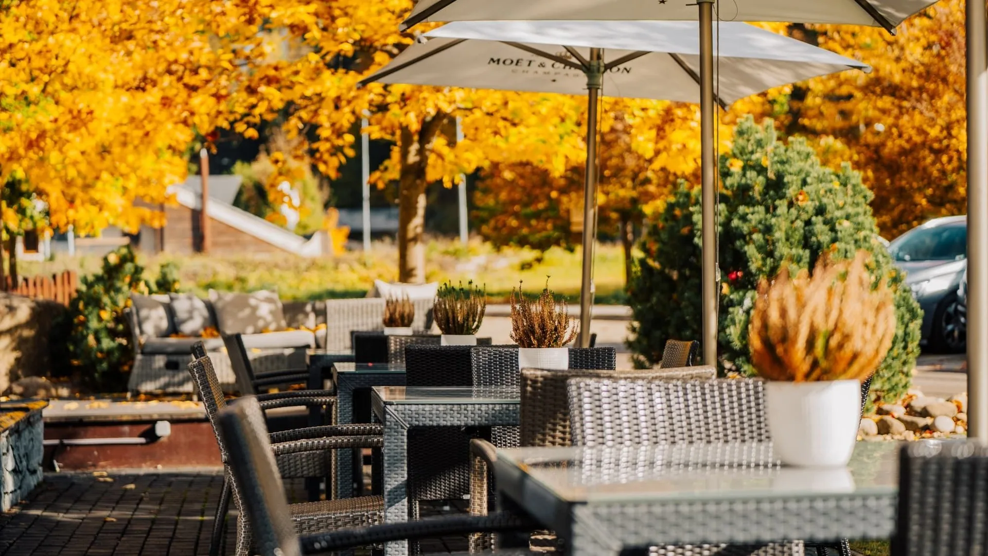 Restaurace Savoya Špindlerův Mlýn — photo 70