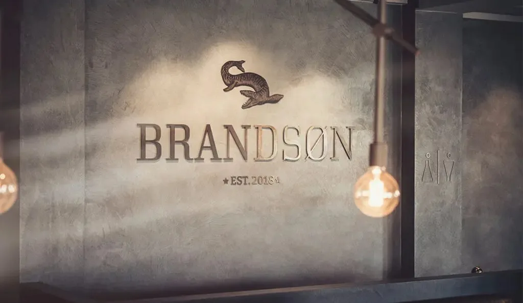 Brandson — photo 26