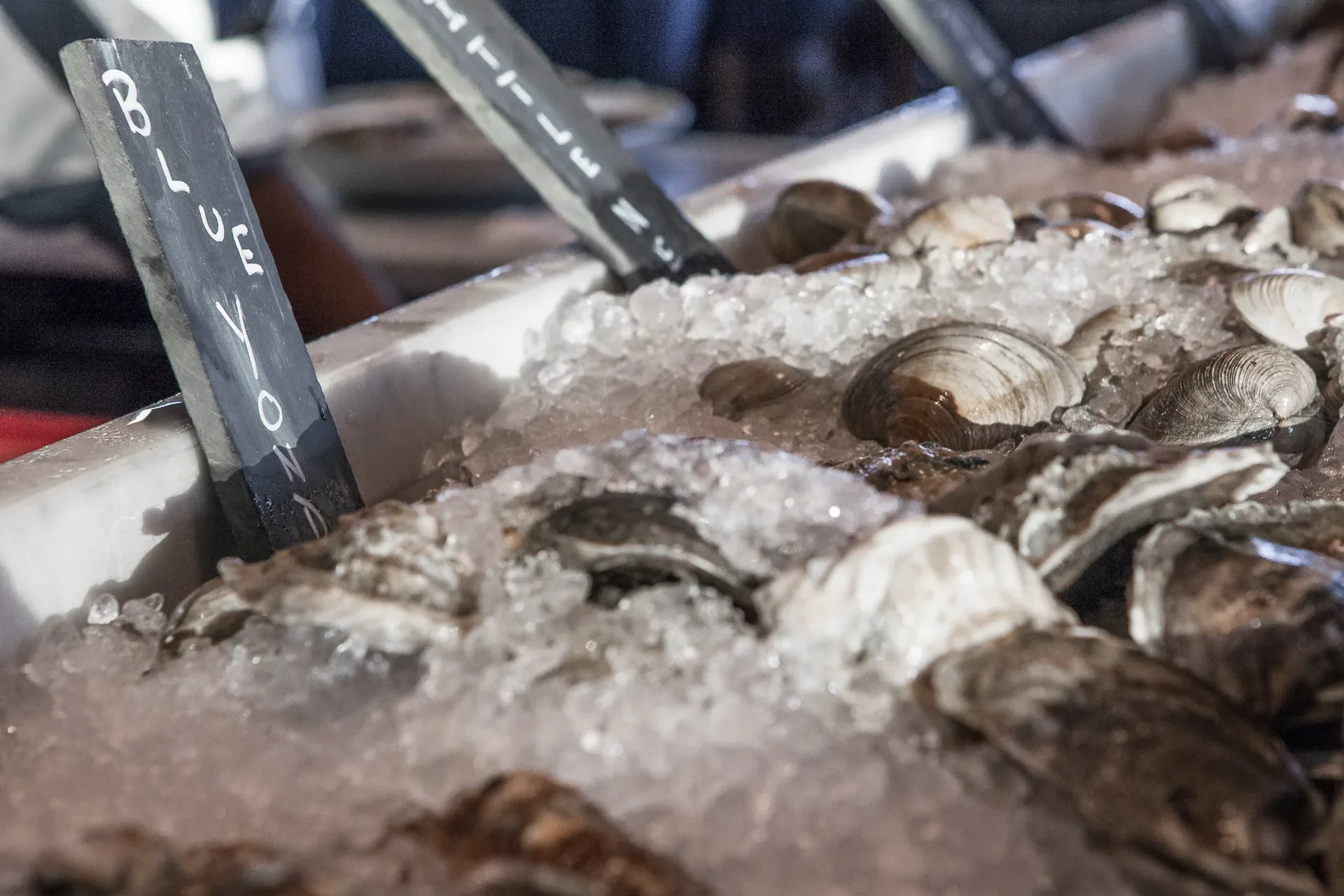 Shell & Bones Oyster Bar and Grill — photo 43