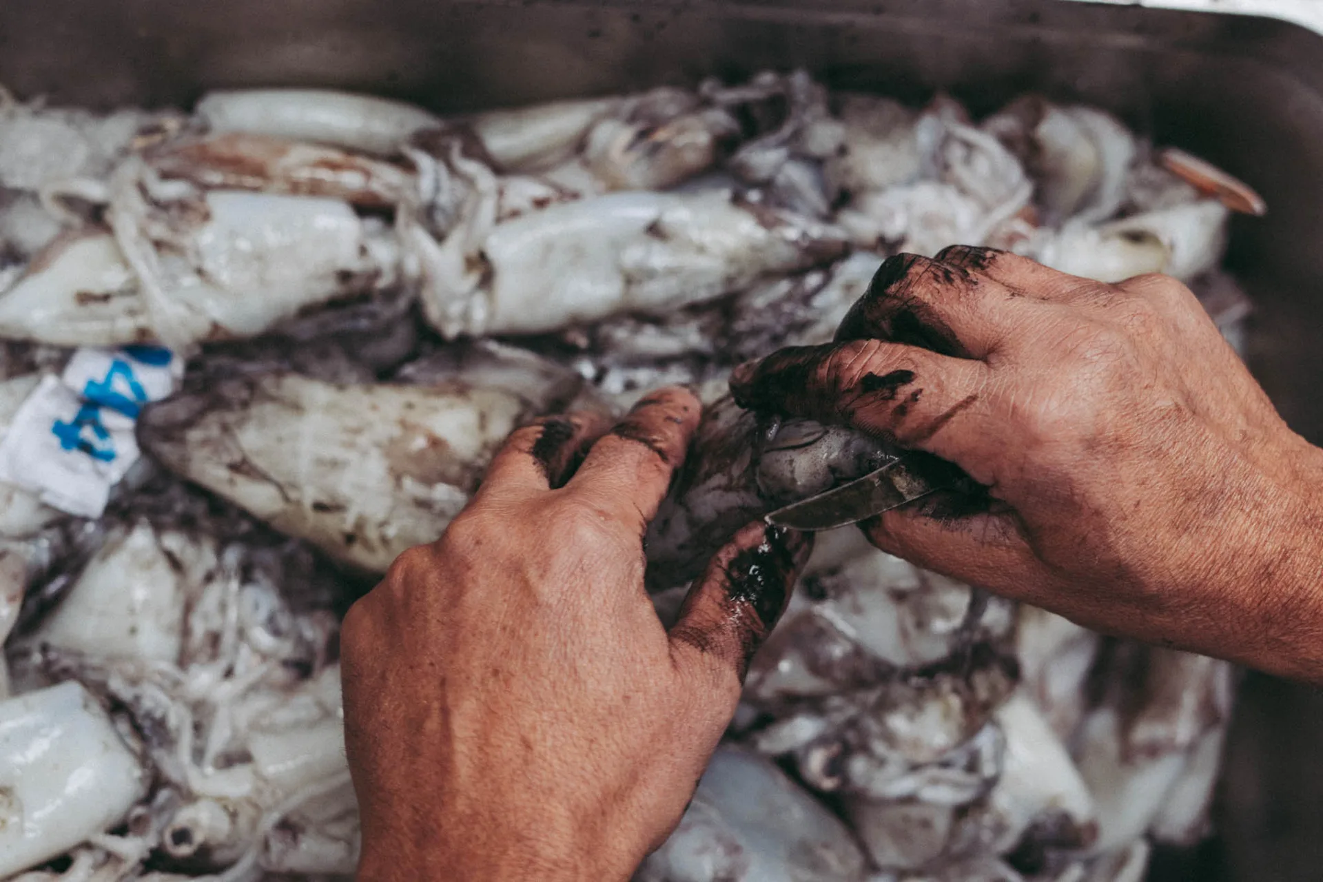 Julia Fish & Oysterbar — photo 8