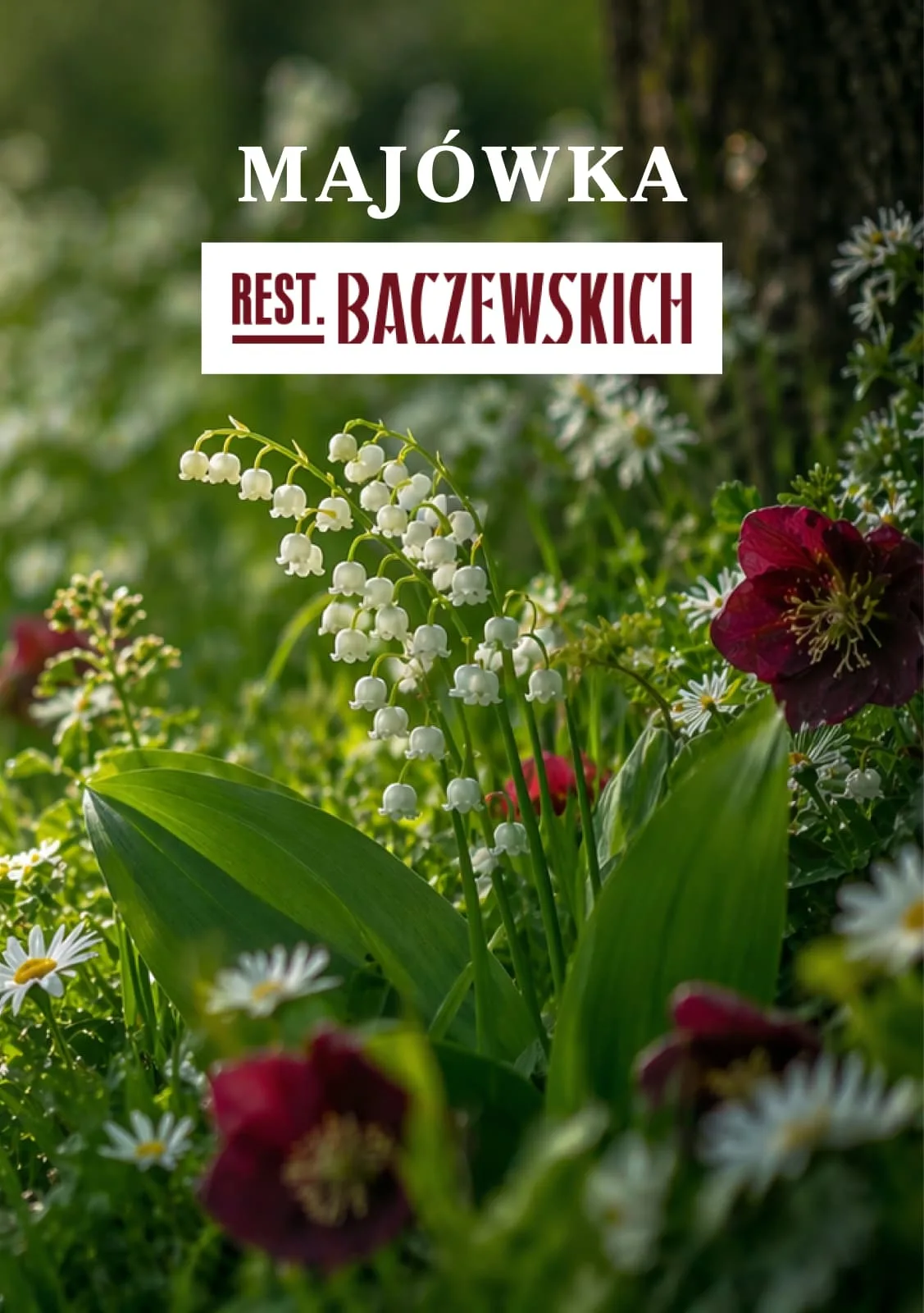 Rest.Baczewskich — photo 15