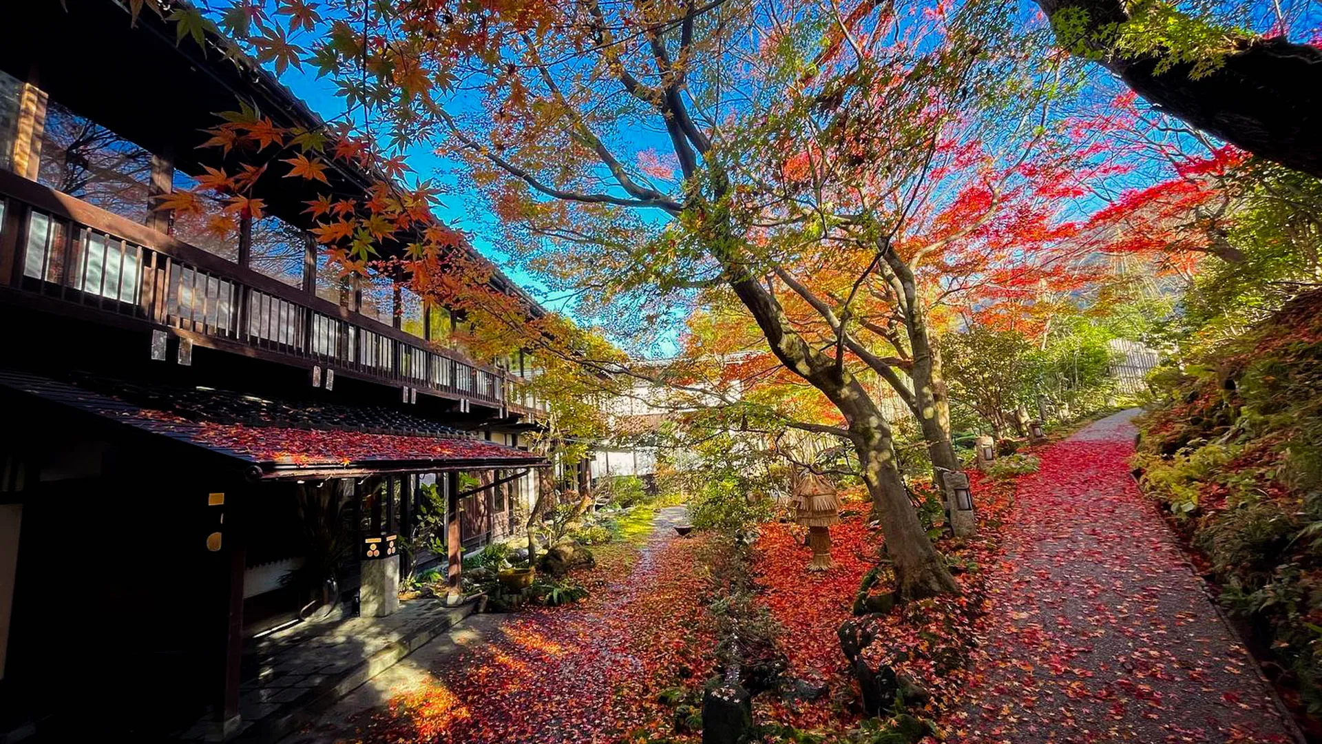 WATAYA — photo 113