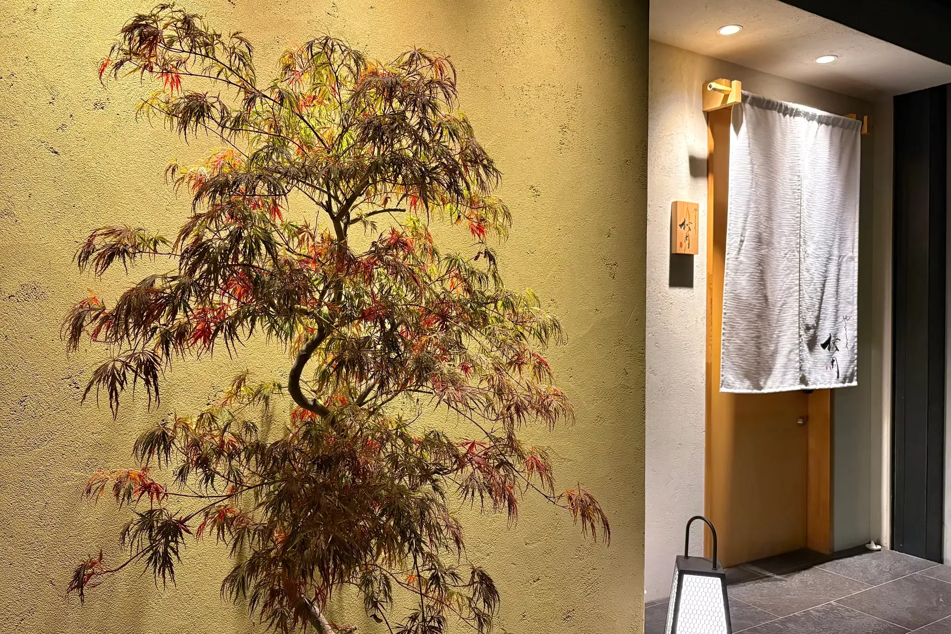 Yakitori Matsuoka — photo 19