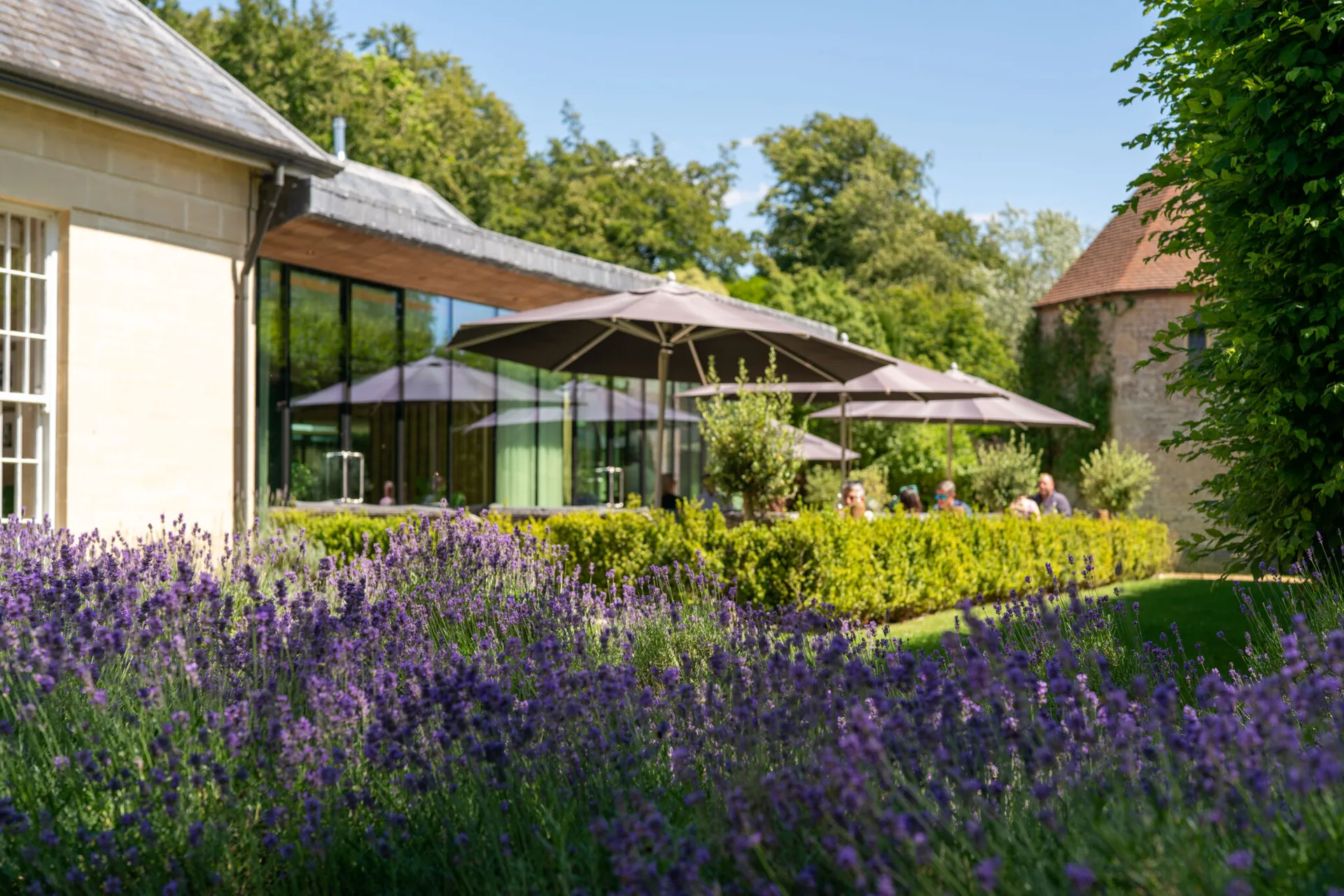 Walled Garden Restaurant — photo 56