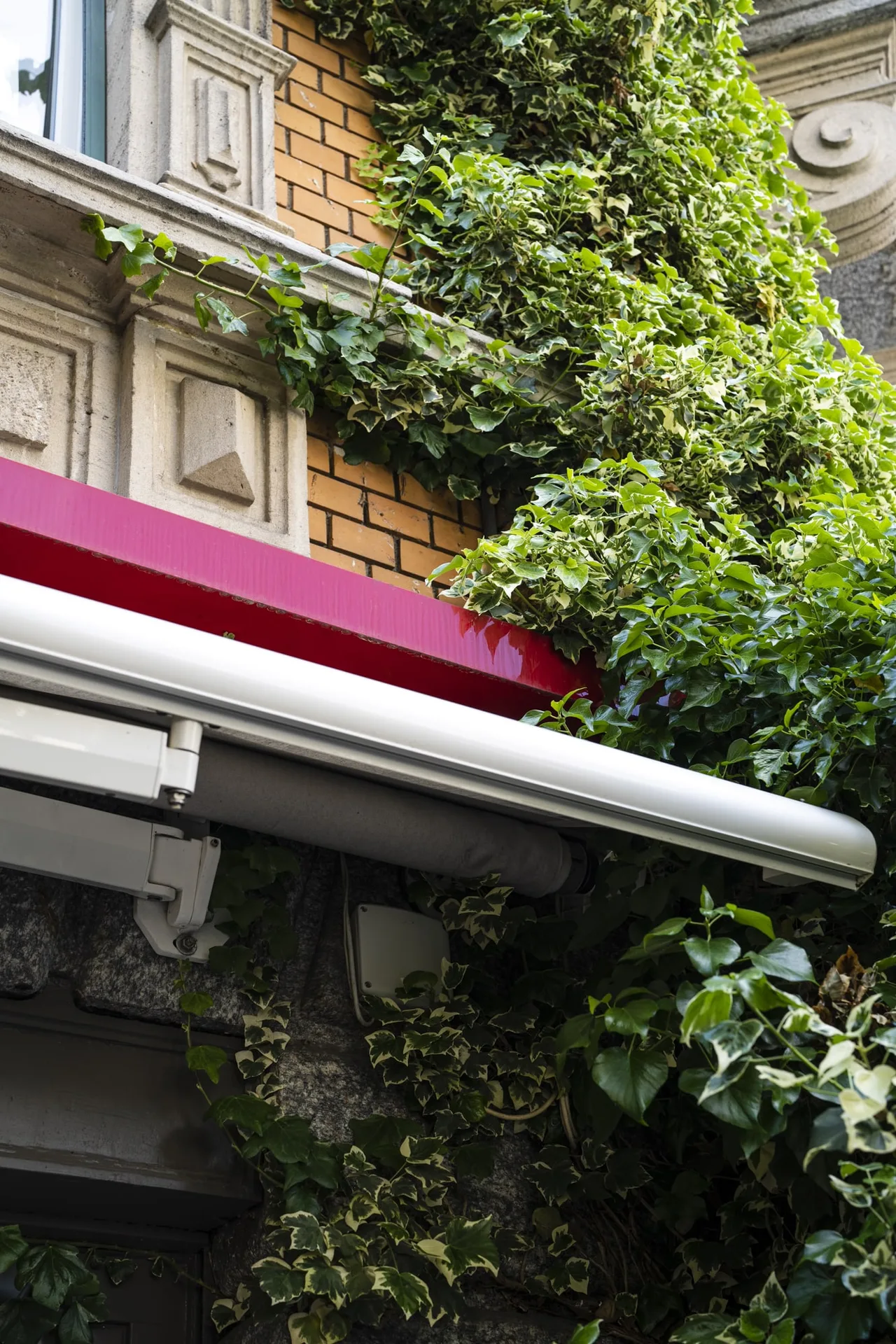 Ristorante Italia — photo 24