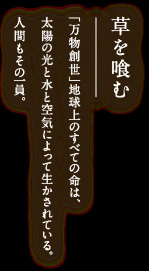 Sojiki Nakahigashi — photo 13