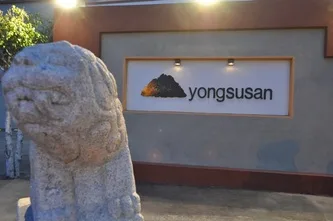 Yong Su San — food