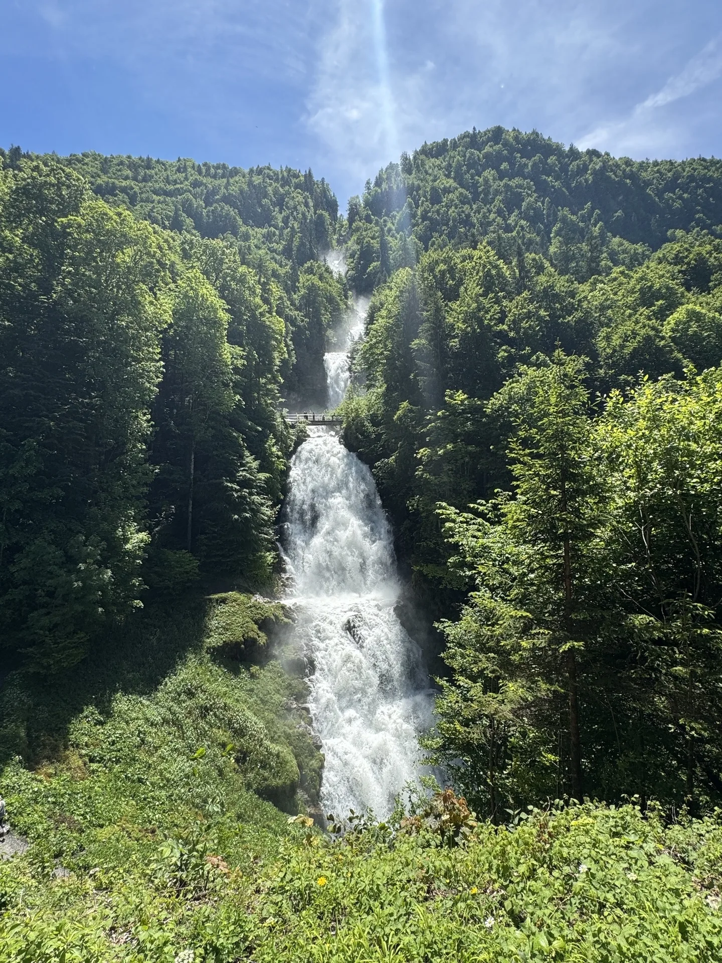 Grandhotel Giessbach — photo 18