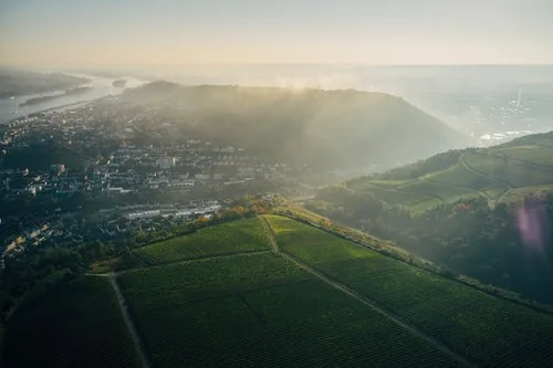 Weinstube Kruger-Rumpf, Bingen am Rhein