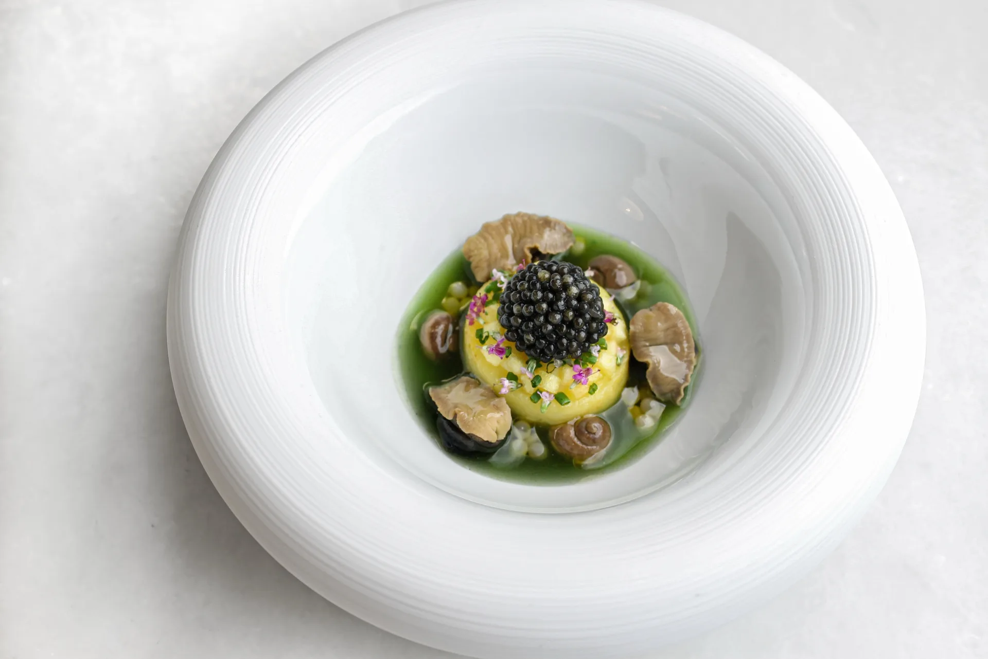 Restaurant Papilio — photo 72