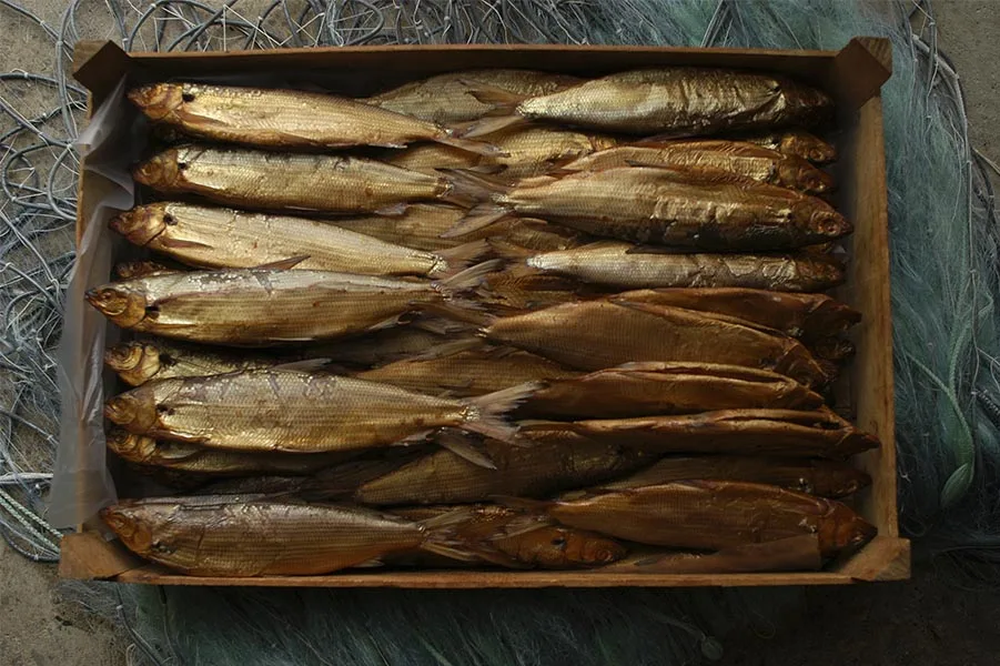 3 Fische — photo 24