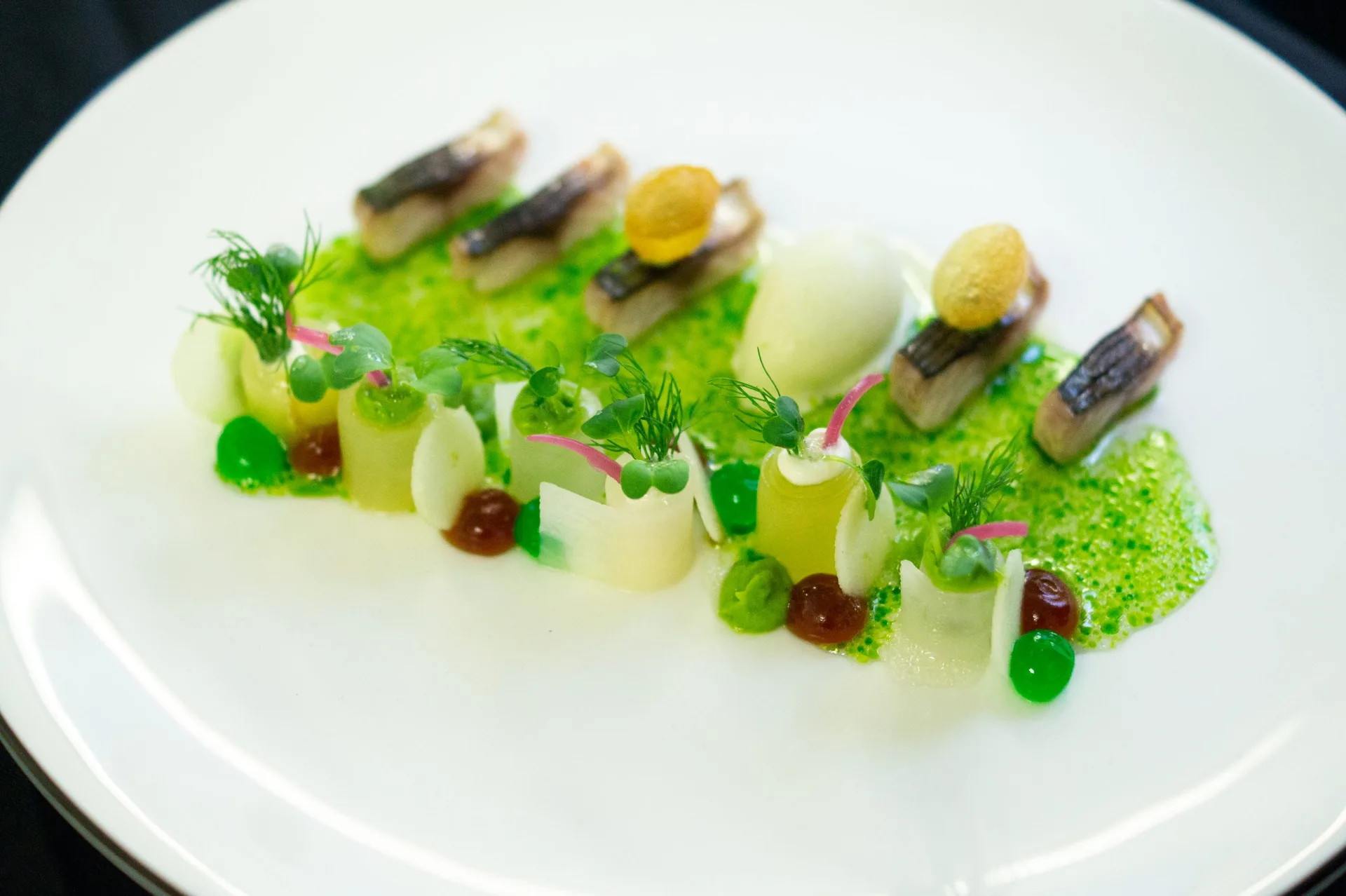 Bagatelle — photo 23