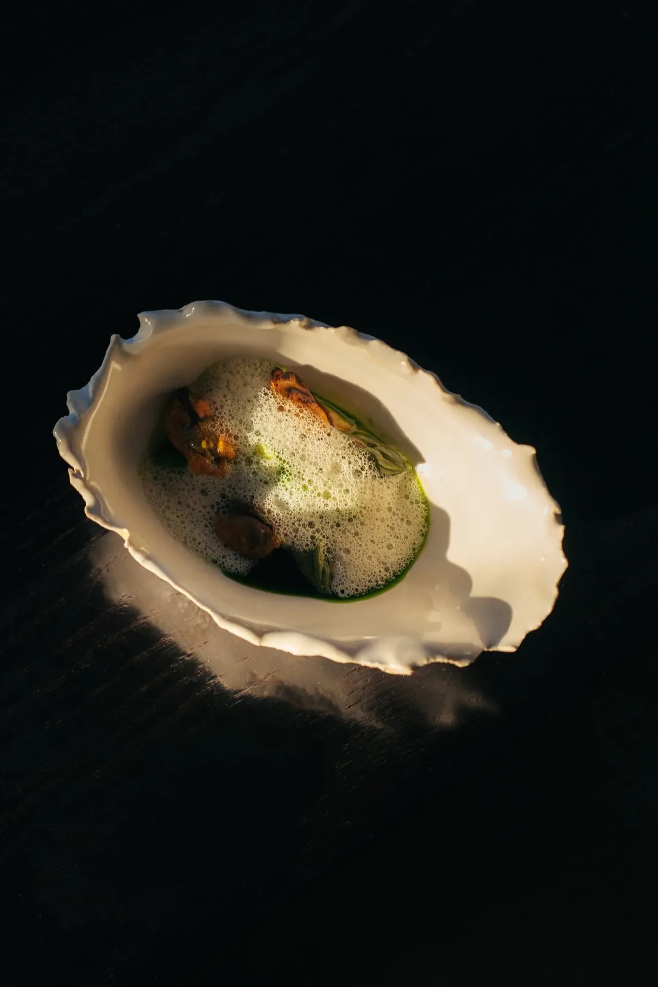 Cardinal — photo 7