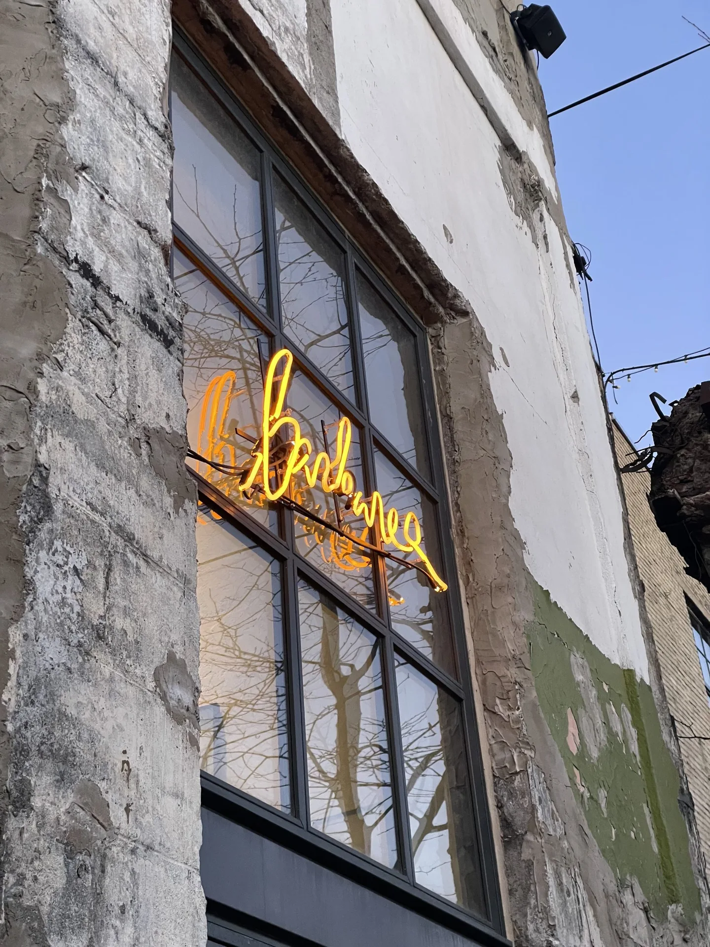 Barbarea — photo 7