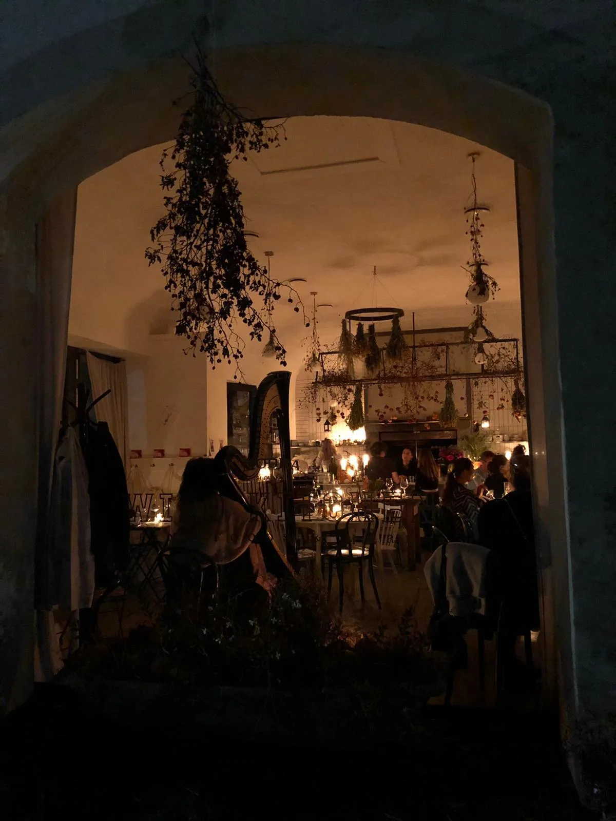 Wild Kitchen Modra — photo 15