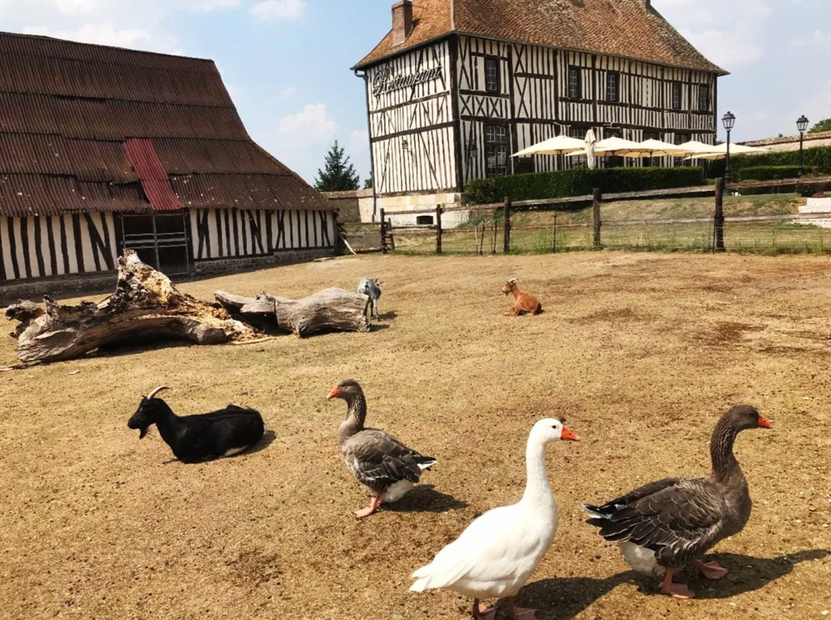 La Ferme de la Haute Crémonville — photo 9