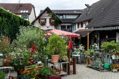 Kininger’s Hirsch — photo 23