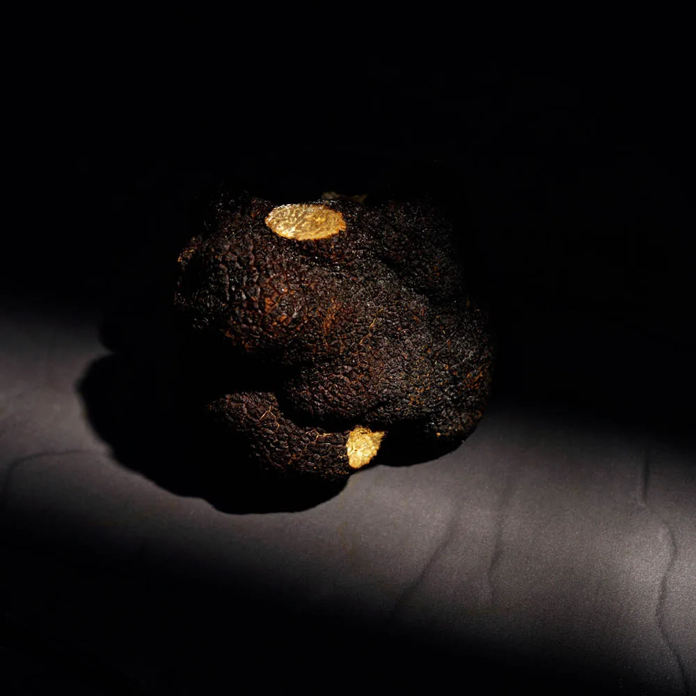 Tout à Fait — food