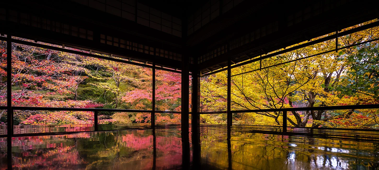 Sakaimachi Kamokura — photo 17