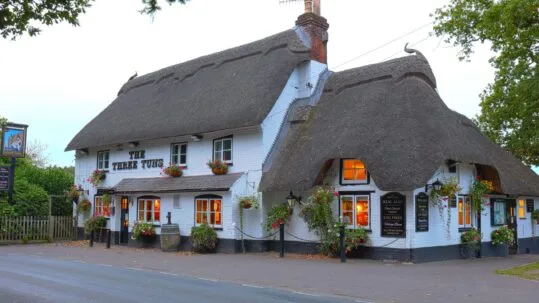 The Three Tuns — photo 4