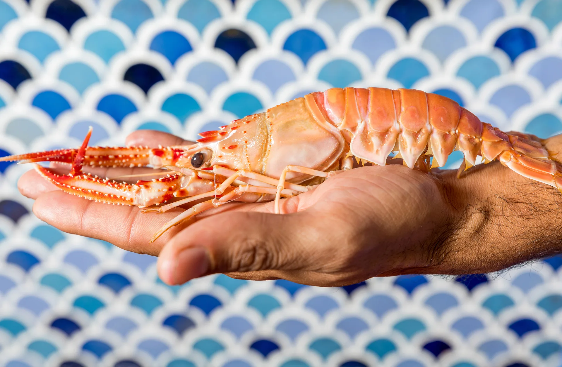 Barú Marisquería — food